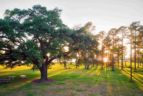 7533 Petersen Pt Rd, Milton, FL 32570 photo 7