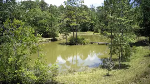 2502 Jeter Rd, Cantonment, FL 32533 photo 28