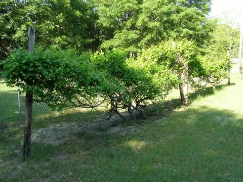 1825 Handy Rd, Cantonment, FL 32533 photo 32