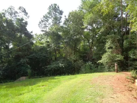 5031 Wiggins Lake Rd, Walnut Hill, FL 32568 photo 28