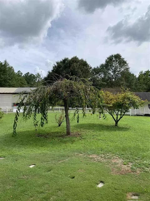 6375 Slash Pine Rd, Jay, FL 32565 photo 28