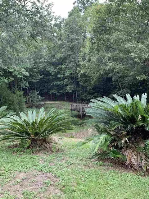 6375 Slash Pine Rd, Jay, FL 32565 photo 33