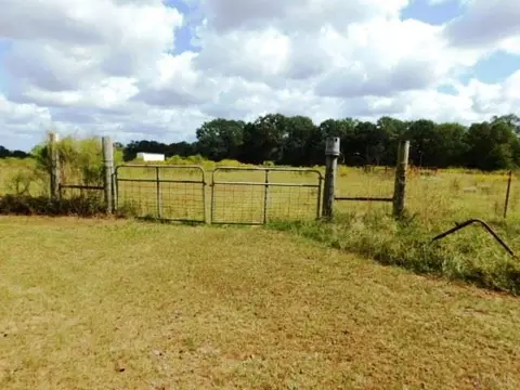 4910 Country Mill Rd, Jay, FL 32565 photo 19