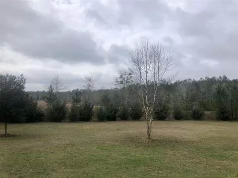 6933 Oasis Ln, Milton, FL 32570 photo 36