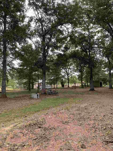 8675 Byrom Campbell Rd, Pace, FL 32571 photo 8