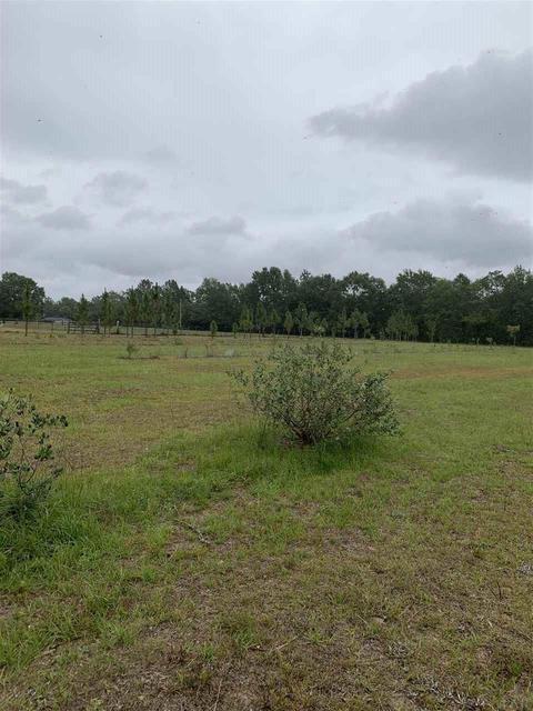 8675 Byrom Campbell Rd, Pace, FL 32571 photo 18