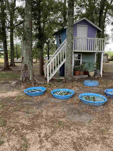 8675 Byrom Campbell Rd, Pace, FL 32571 photo 21