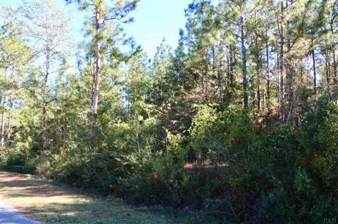 5055 Dobson Rd, Jay, FL 32565 photo 5