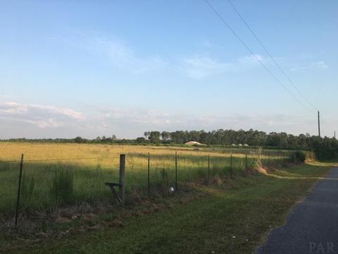 8100 Nokomis Rd, Mcdavid, FL 32568 photo 6