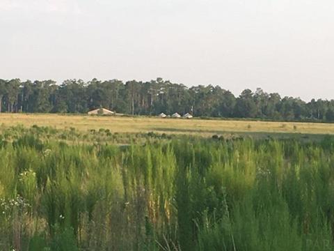 8100 Nokomis Rd, Mcdavid, FL 32568 photo 8