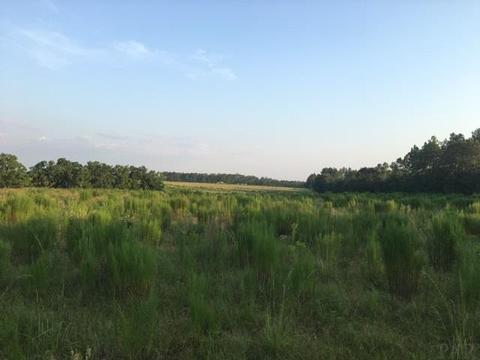 8100 Nokomis Rd, Mcdavid, FL 32568 photo 7