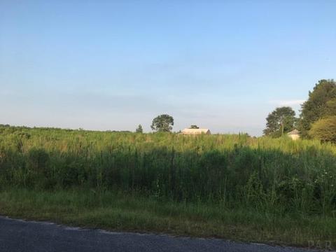 8100 Nokomis Rd, Mcdavid, FL 32568 photo 5