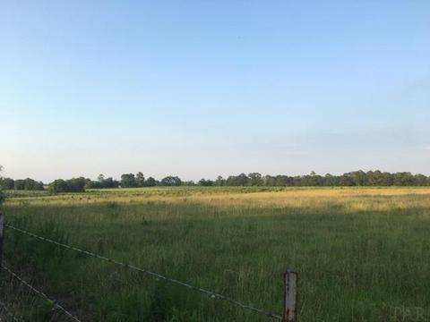 8100 Nokomis Rd, Mcdavid, FL 32568 photo 4