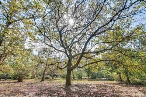 5786 Nowling Dr, Milton, FL 32583 photo 1
