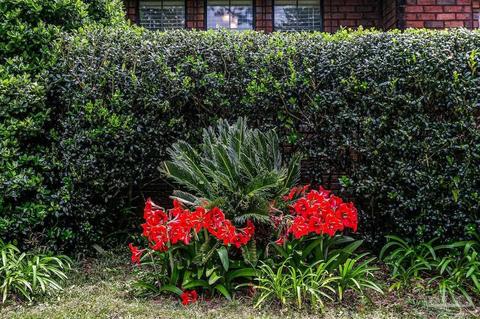 5499 Rowe Trl, Pace, FL 32571 photo 34