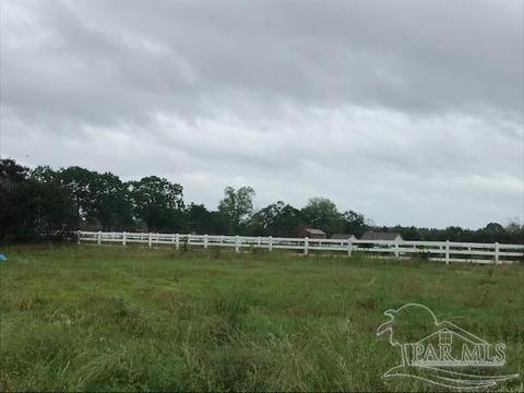 2967 Bud Diamond Rd, Jay, FL 32565 photo 13