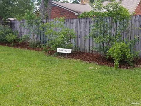 4644 Briaroak Dr, Pace, FL 32571 photo 39