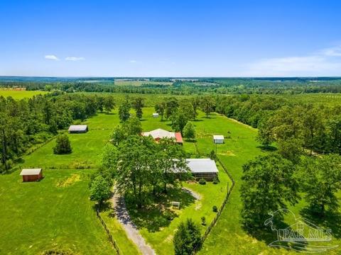 3100 Breastworks Rd, Mcdavid, FL 32568 photo 8