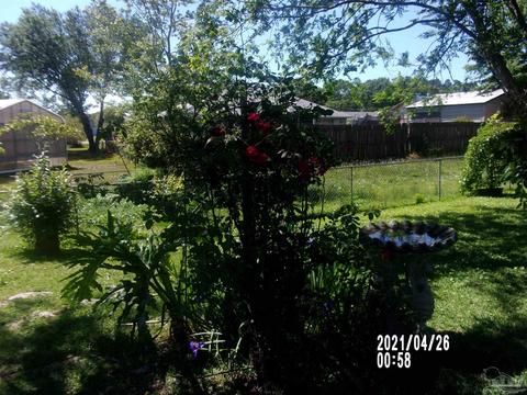 3350 Gladewood Ln, Pace, FL 32571 photo 31