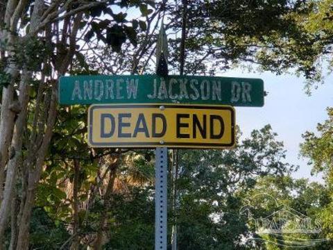 3617 Andrew Jackson Dr, Pace, FL 32571 photo 41