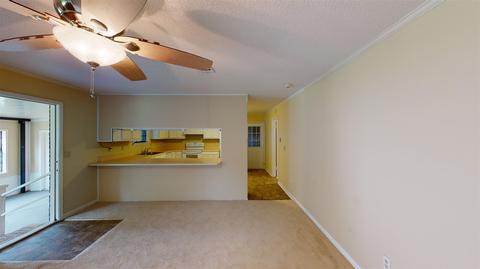 3741 Stefani Rd, Cantonment, FL 32533 photo 5