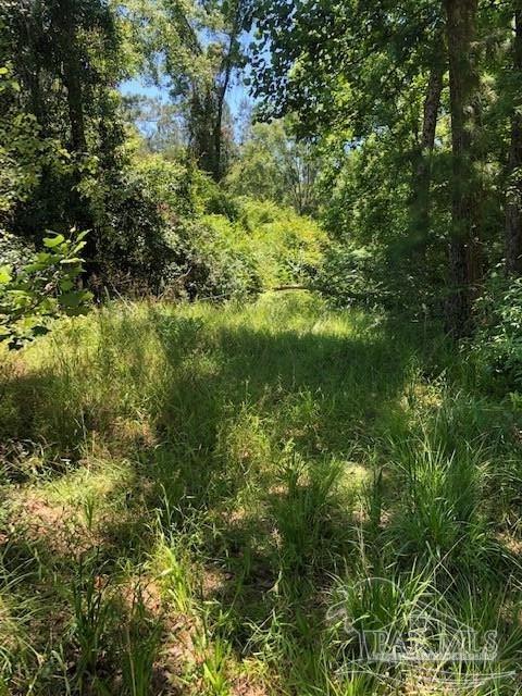 3603 Bagwell Rd, Pace, FL 32571 photo 7