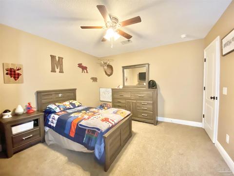 2640 Wallace Lake Rd, Pace, FL 32571 photo 30