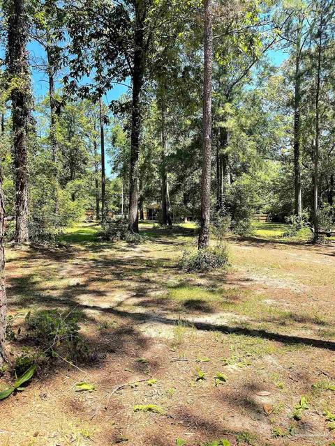 2517 Camors Rd, Jay, FL 32565 photo 23