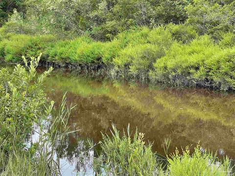 7649 River Rd, Milton, FL 32583 photo 5