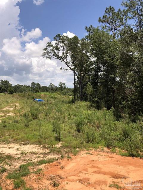 4985 Timber Ridge Dr, Pace, FL 32571 photo 24