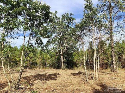 lot25 Bs Glacier Dr, Pace, FL 32571 photo 13