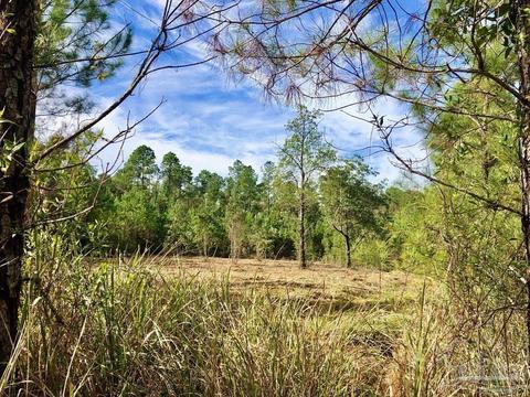 lot25 Bs Glacier Dr, Pace, FL 32571 photo 8