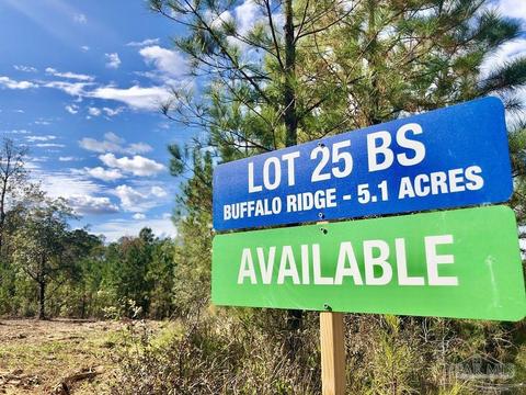 lot25 Bs Glacier Dr, Pace, FL 32571 photo 5