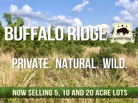 lot25 Bs Glacier Dr, Pace, FL 32571 photo 17