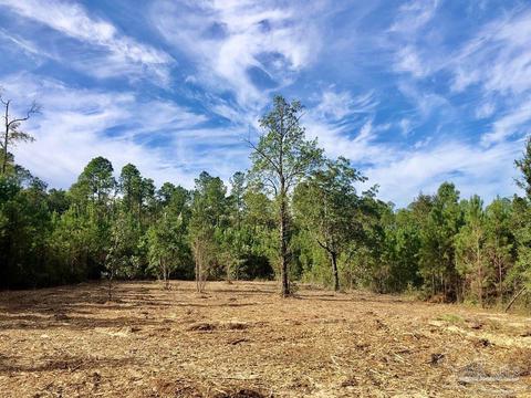 lot25 Bs Glacier Dr, Pace, FL 32571 photo 12