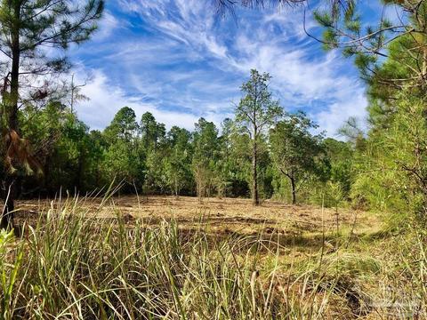 lot25 Bs Glacier Dr, Pace, FL 32571 photo 7