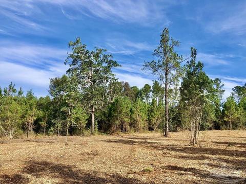 lot25 Bs Glacier Dr, Pace, FL 32571 photo 14