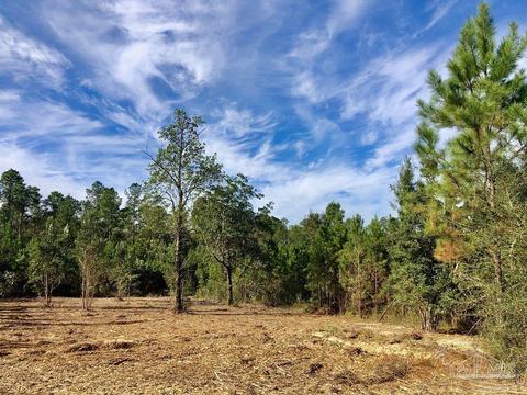 lot25 Bs Glacier Dr, Pace, FL 32571 photo 11