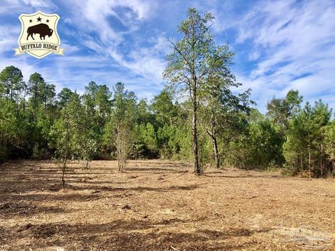 lot25 Bs Glacier Dr, Pace, FL 32571 photo 4