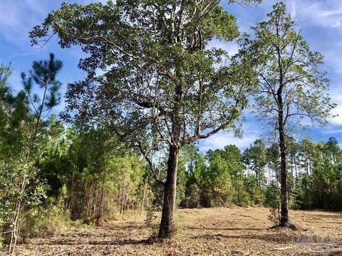lot25 Bs Glacier Dr, Pace, FL 32571 photo 15