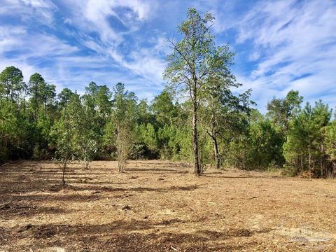 lot25 Bs Glacier Dr, Pace, FL 32571 photo 9