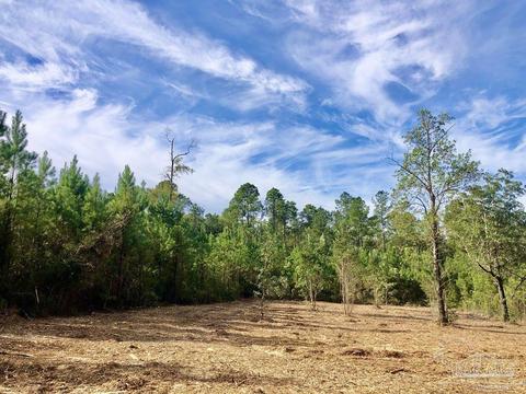 lot25 Bs Glacier Dr, Pace, FL 32571 photo 10
