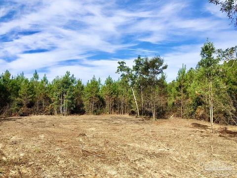 lot26 Bs Glacier Dr, Pace, FL 32571 photo 7