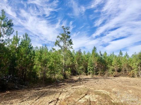 lot26 Bs Glacier Dr, Pace, FL 32571 photo 8