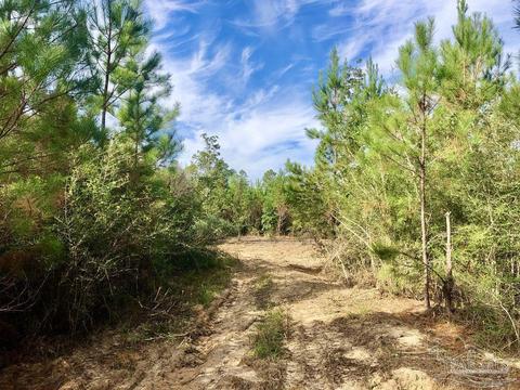 lot26 Bs Glacier Dr, Pace, FL 32571 photo 4