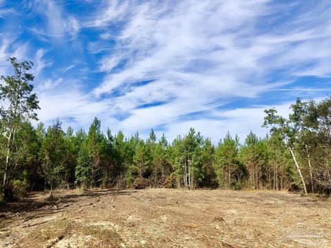 lot26 Bs Glacier Dr, Pace, FL 32571 photo 6
