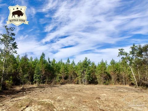 lot26 Bs Glacier Dr, Pace, FL 32571