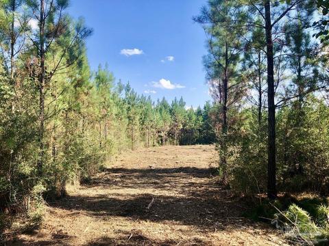 lot28 Bs Buffalo Ridge Rd, Pace, FL 32571 photo 6