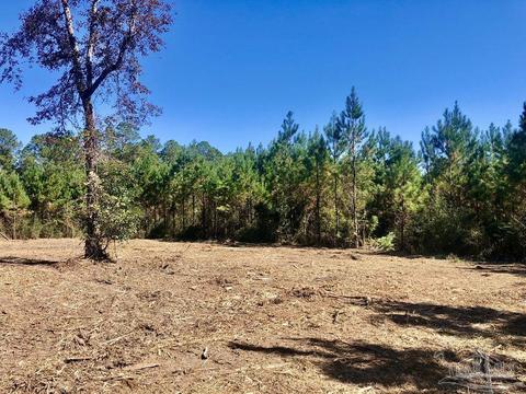 lot28 Bs Buffalo Ridge Rd, Pace, FL 32571 photo 8