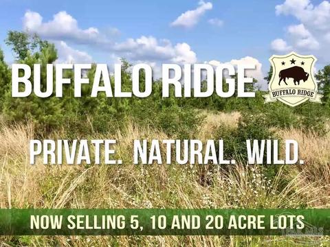 lot28 Bs Buffalo Ridge Rd, Pace, FL 32571 photo 14